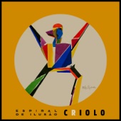 Espiral de Ilusão - Deluxe Edition artwork