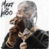 Meet The Woo, Vol. 2 artwork