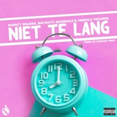 Niet Te Lang (feat. Damian Twilt, Fabiola & Rasskulz) artwork
