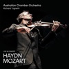 Haydn – Mozart (Live)