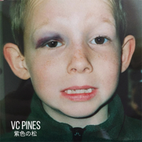 VC Pines - Skully - EP artwork