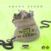 More Money More Haters artwork