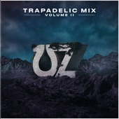 Trapadelic Mix, Vol. 2 (DJ Mix) artwork