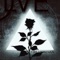 Blackbirds - SØLVE lyrics