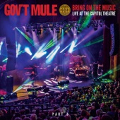 Gov't Mule - Endless Parade (Live)