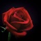 Get You the Moon (feat. Snøw) - Bra Dy lyrics