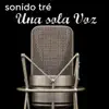 Una Sola Voz (feat. Mayda Belén & Quique Domenech) - Single album lyrics, reviews, download