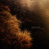 Tom Eaton - The Fog and the Lifting