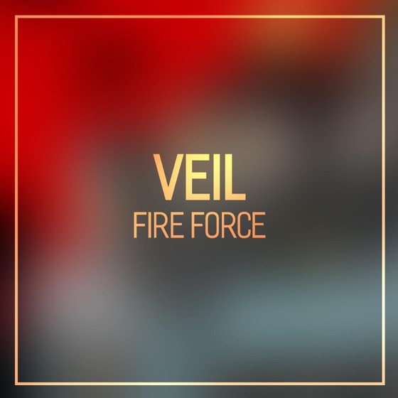 Cover artwork for Veil