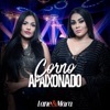 Corno Apaixonado - Single