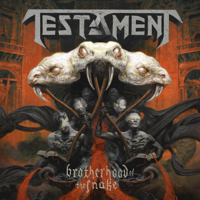 Testament - Brotherhood of the Snake artwork