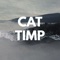 Cat Timp artwork