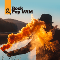 background music masters, Background Instrumental Music Collective & The Rolling Rock Band - Rock & Pop Wild: Instrumental Music, Guitar Best Rhythms artwork