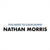 You Need to Calm Down - Single album lyrics, reviews, download