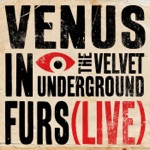 The Velvet Underground - Venus In Furs (Live) [Edit]