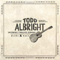 Todd Albright - Detroit Twelve String Blues & Rags artwork