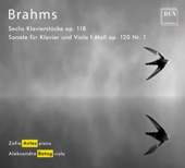 Brahms: Chamber Works artwork