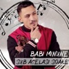 Sub Acelasi Soare - Single