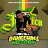 Dancehall History (Radio Edit) artwork