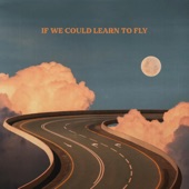 If We Could Learn to Fly artwork