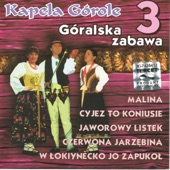 Góralska Zabawa 3 artwork