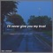 I'll Never Give You My Trust (feat. Mishaal) - RL Beats lyrics