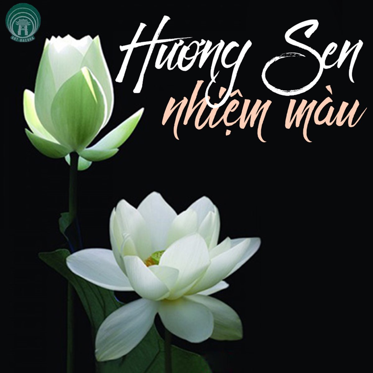 Hương sen màu nhiệm, Various Artists, Apple Music: Ngửi mùi hương sen và nghe những bài hát của các nghệ sĩ nổi tiếng tại Apple Music. Đây là một trải nghiệm âm nhạc mà bạn không thể bỏ qua. Hãy chiêm ngưỡng hình ảnh hương sen màu nhiệm xen lẫn cùng âm thanh tuyệt vời để tạo nên một không gian riêng tư và tĩnh lặng.