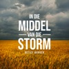 In Die Middel Van Die Storm - Single