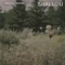 Silhouettes (feat. Vancouver Sleep Clinic) - Shallou lyrics