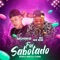 Fui Sabotado (feat. MC Mr Bin) - Bruninho Braz lyrics