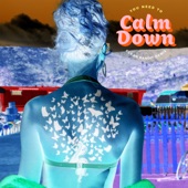 You Need To Calm Down (Clean Bandit Remix) artwork