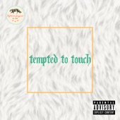 Tempted to Touch artwork