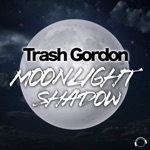 Moonlight Shadow (Radio Edit)