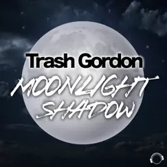 Moonlight Shadow Song Lyrics