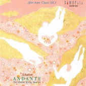 String Quartet No. 9 in B-Flat Major, D.173: II. Andantino artwork