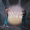 Marcy Adame, Luis Campos - Danzaremos