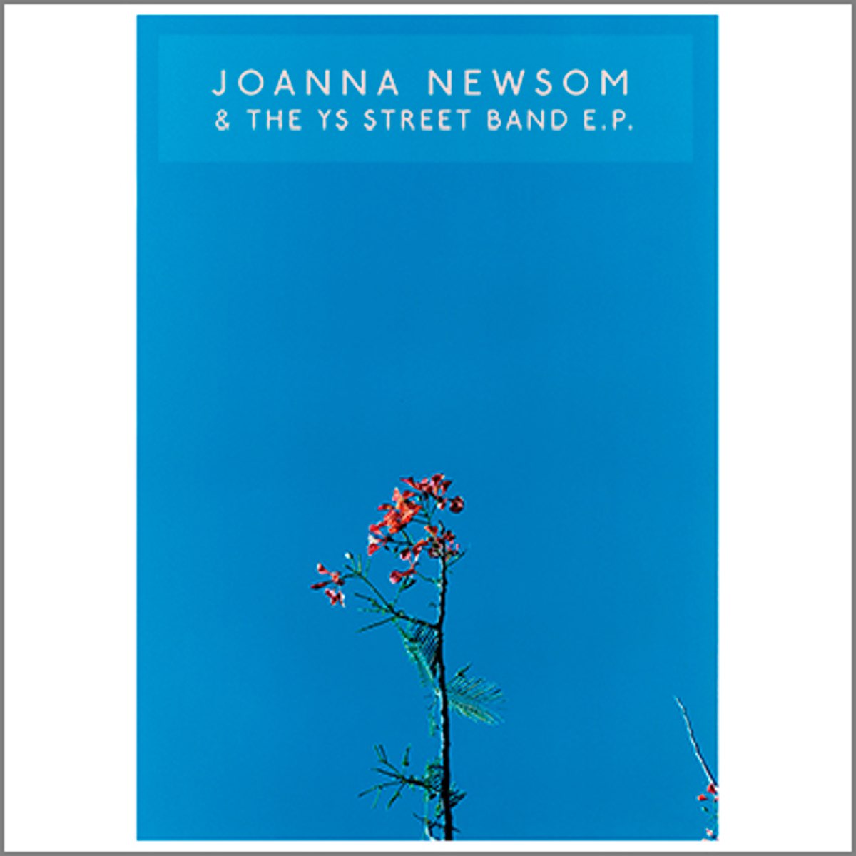 joanna-newsom-the-y-s-street-band-ep-by-joanna-newsom-on-apple-music