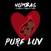 Pure Luv (feat. Preach & Durty So Clean) artwork