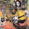 One Bright Day - Ziggy Marley & The Melody Makers