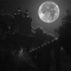 Moon Over the Ruined Castle (Instrumental) - Single