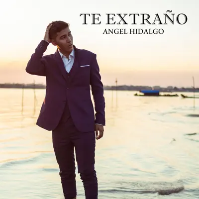 Te Extraño - Single - Angel Hidalgo (Aj The Big Fat)