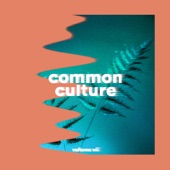 Common Culture, Vol. VII artwork