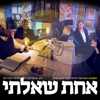 אחת שאלתי - Single