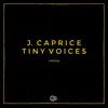 Stream & download Tiny Voices - Single