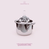 ''Quarantine'' artwork