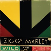 Ziggy Marley - Personal Revolution