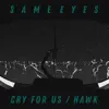 Cry for Us / Hawk - Single album lyrics, reviews, download