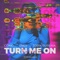 Turn Me On artwork