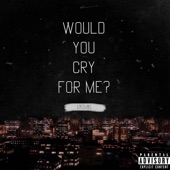 Would You Cry for Me? artwork