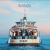 Wanda - Nach Hause gehen